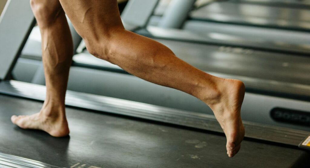 As 11 Melhores Esteira Ergométricas