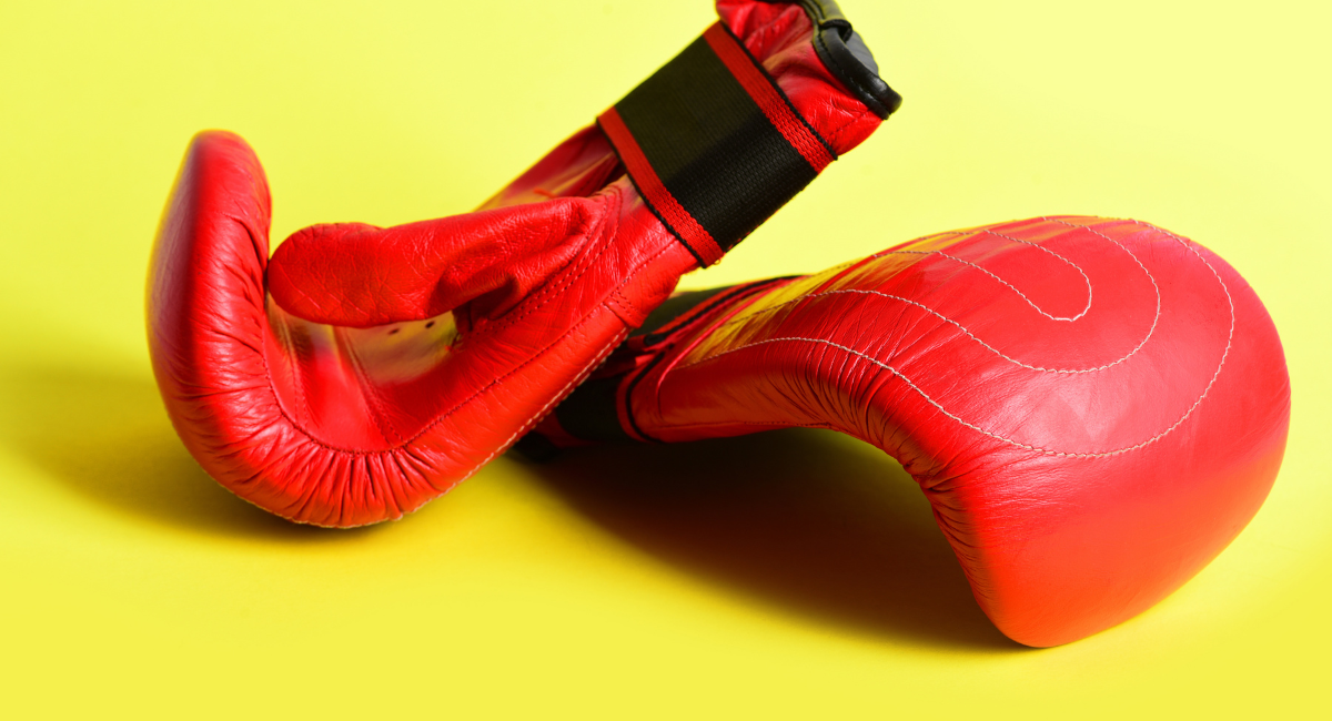 luvas de muay thai